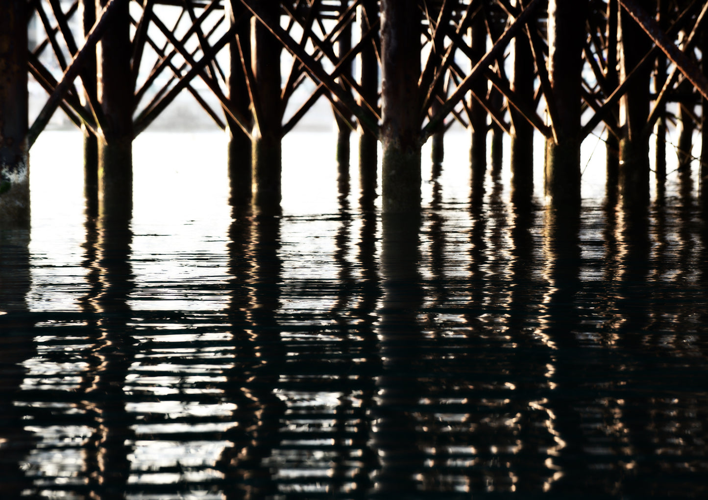 Below the Palace Pier Limited Edition Print by Stef Kerswell