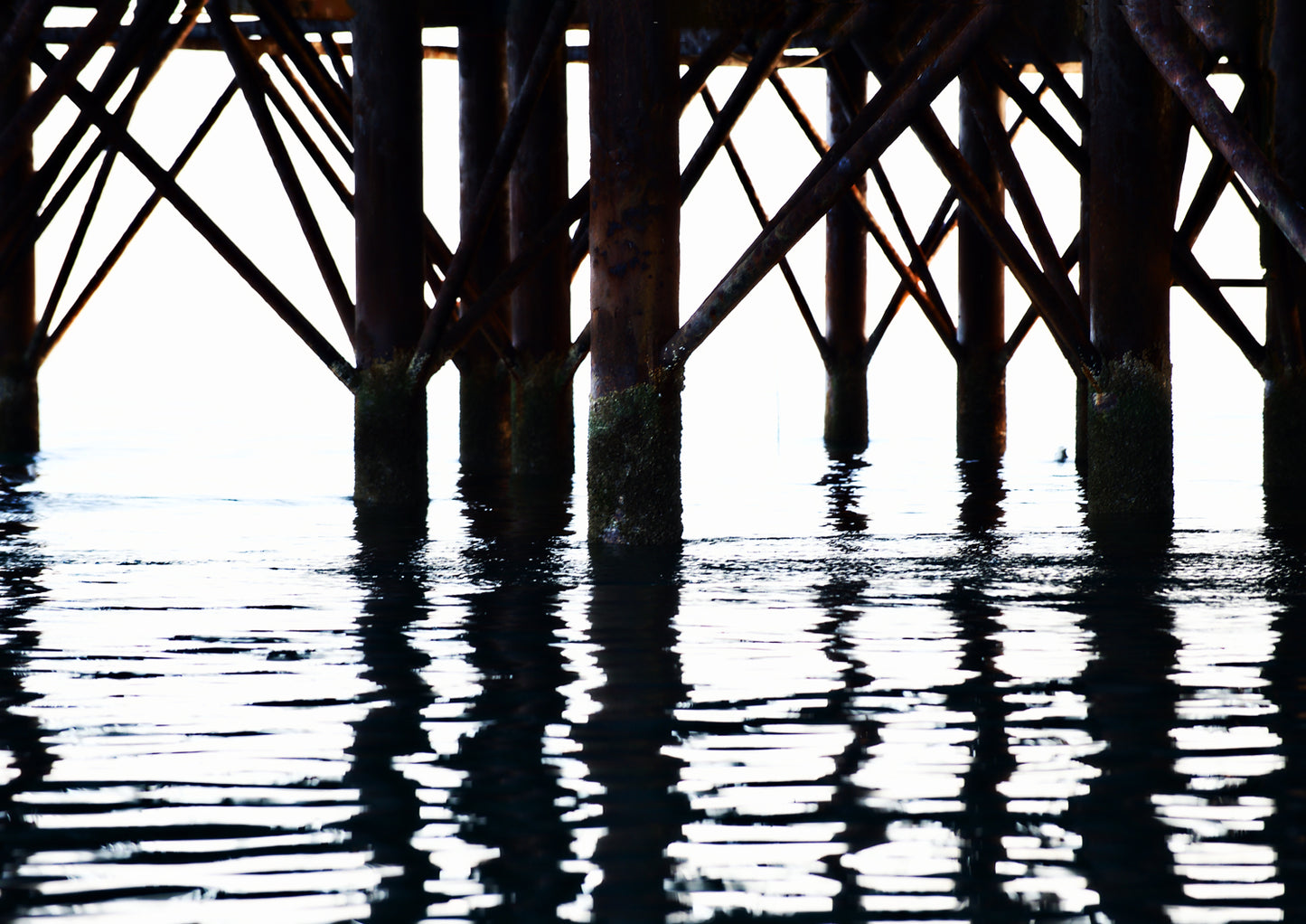 Below the Palace Pier Limited Edition Print by Stef Kerswell