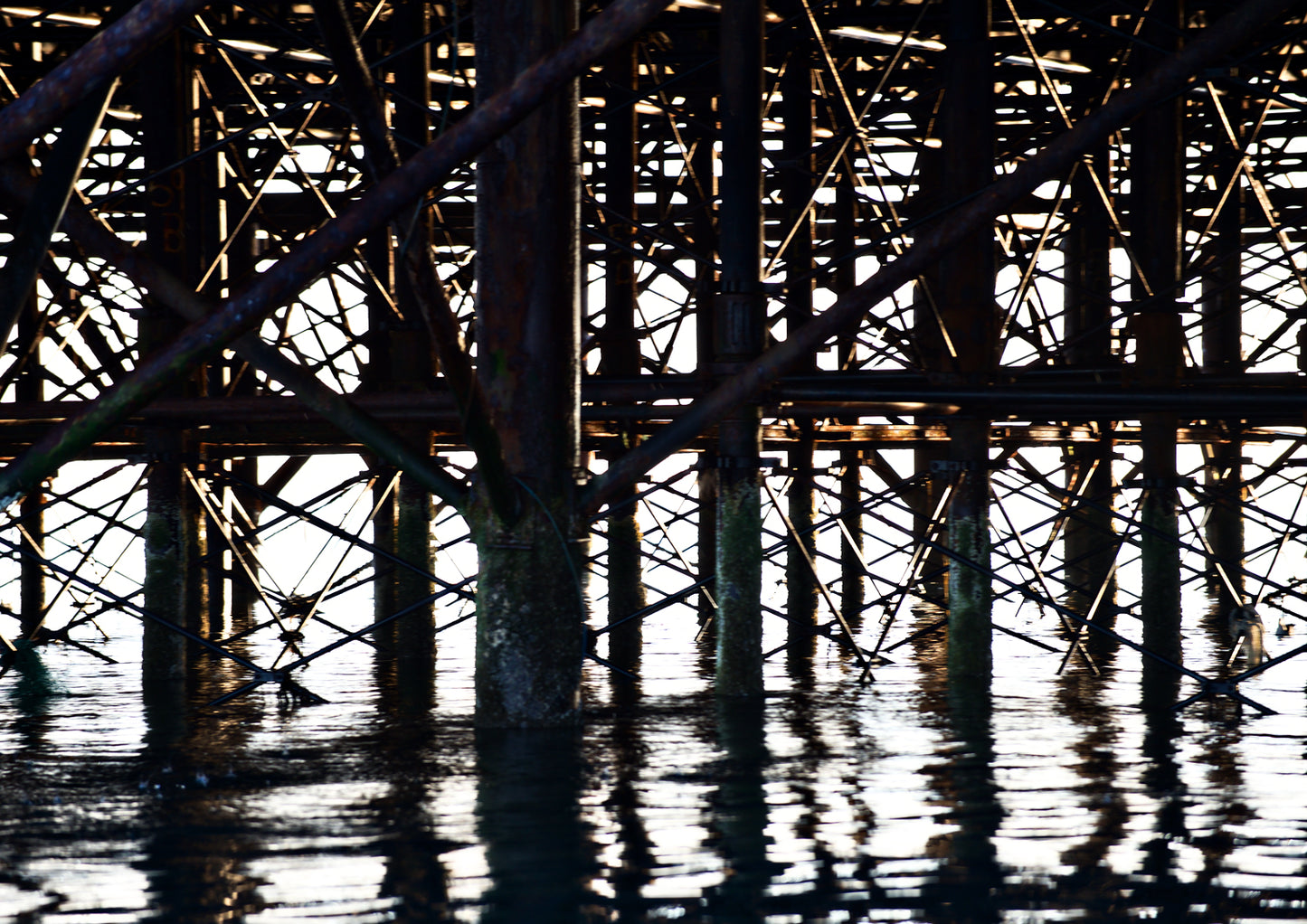 Below the Palace Pier Limited Edition Print by Stef Kerswell