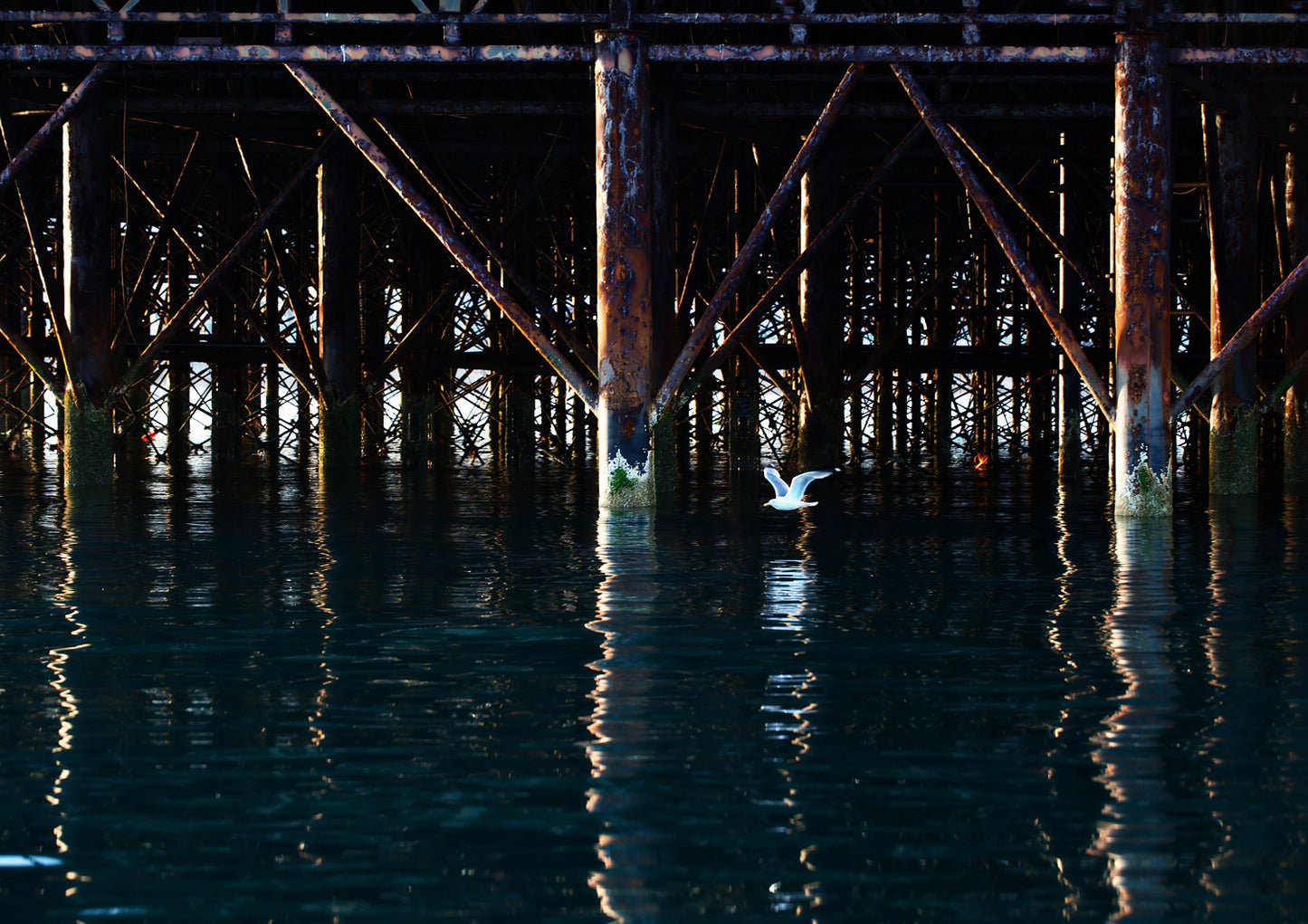 Below the Palace Pier Limited Edition Print by Stef Kerswell
