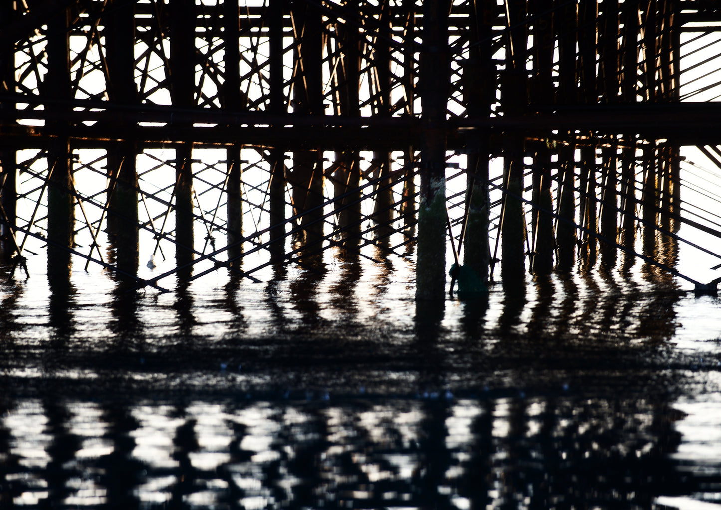 Below the Palace Pier Limited Edition Print by Stef Kerswell