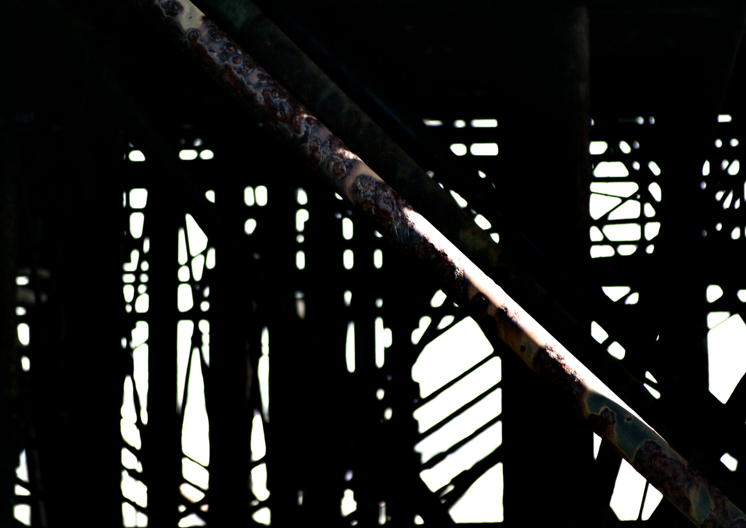 Below the Palace Pier Limited Edition Print by Stef Kerswell