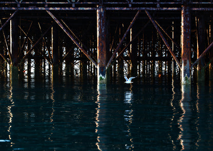 Below the Palace Pier Limited Edition Print by Stef Kerswell