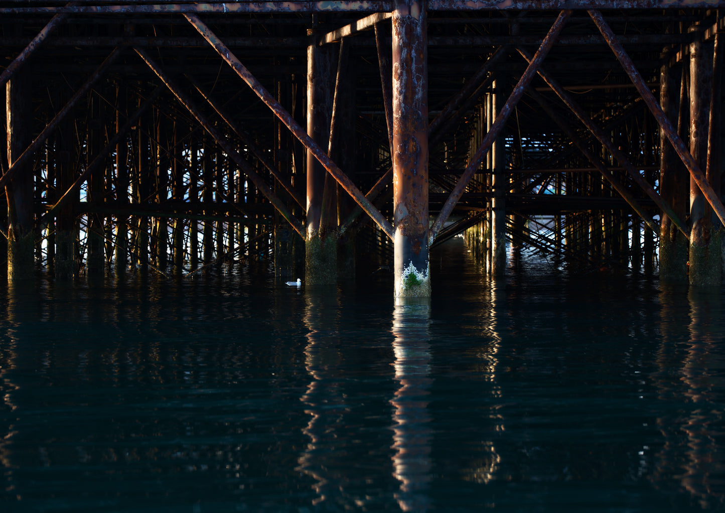 Below the Palace Pier Limited Edition Print by Stef Kerswell