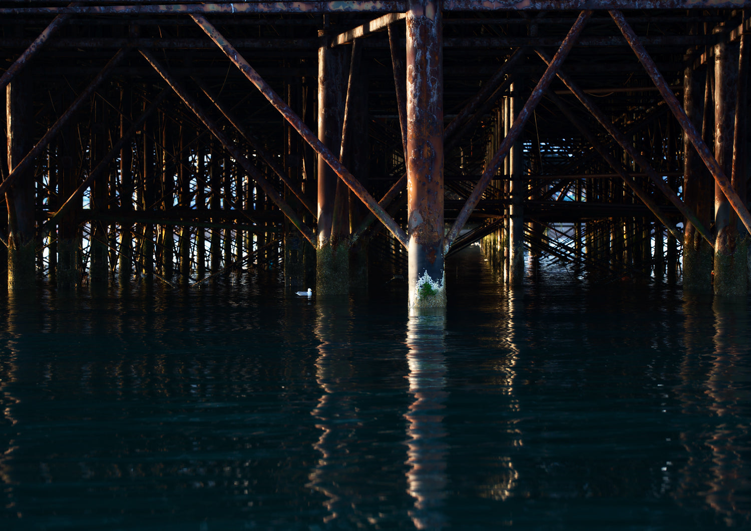 Below the Palace Pier Limited Edition Print by Stef Kerswell