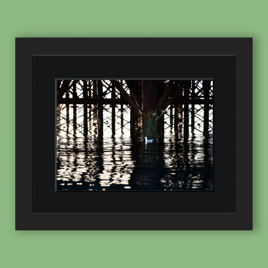 Below the Palace Pier Limited Edition Print by Stef Kerswell