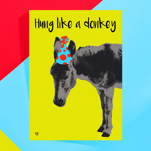 Donkey with a colorful headband on a yellow background with text 'Hung like a donkey'. Greeting card by Stef Kerswell at Studio Flea.
