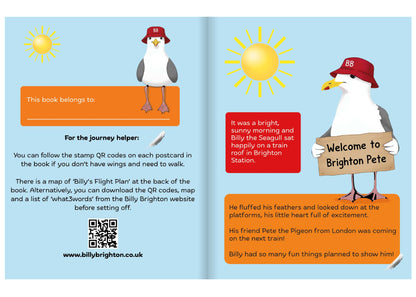 Billy Brighton's Super Seaside Adventure Book